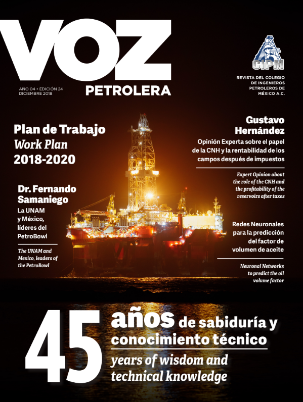 45 AÑOS DE SABIDURÍA Y CONOCIMIENTO TÉCNICO - Diciembre 2018